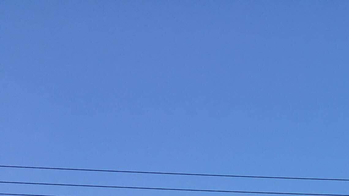 Cherry Blossom newbies: Indulging in food truck fare