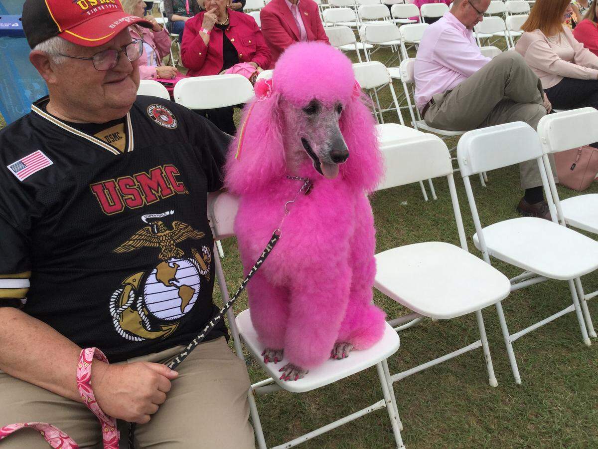 The pink poodle was in attendance for the festival's ribbon-cutting ceremony.