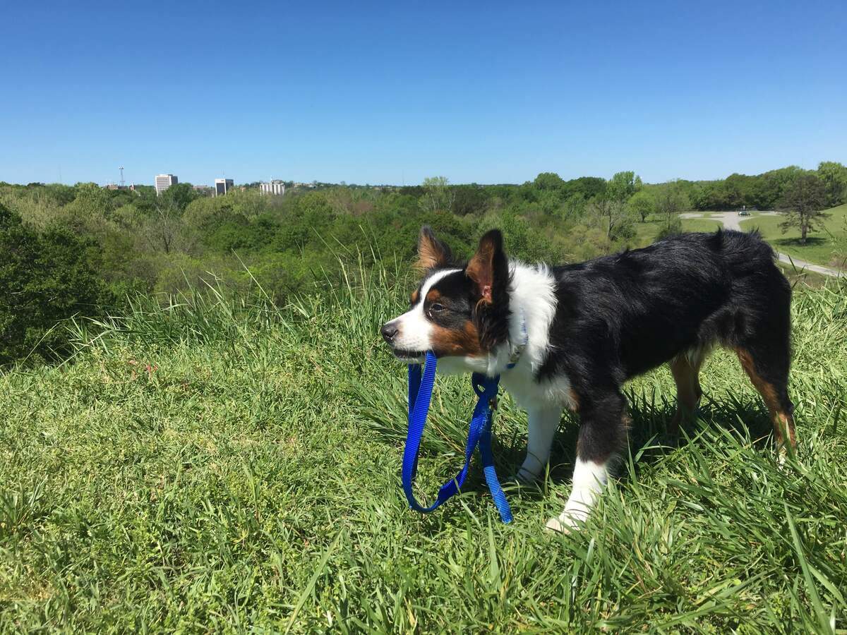 Mate enjoys Ocmulgee National Monument. 