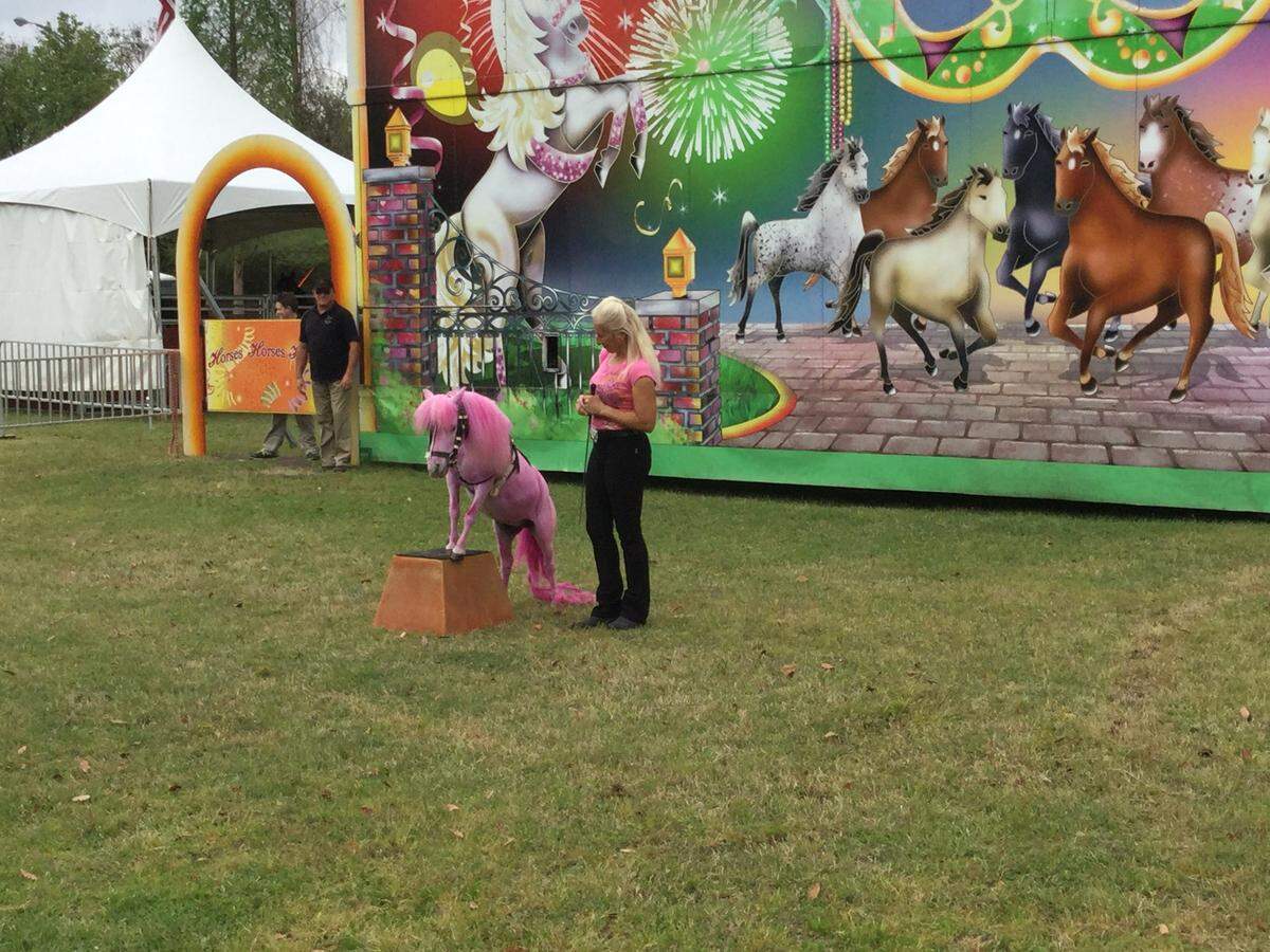 Horses, Horses, Horses! show featured a pink pony.