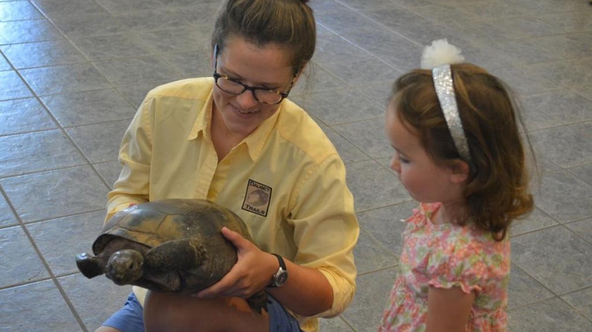 Check out turtles, tortoises, snakes and more at Reptile Rendevous on Saturday at the Museum of Arts and Sciences.