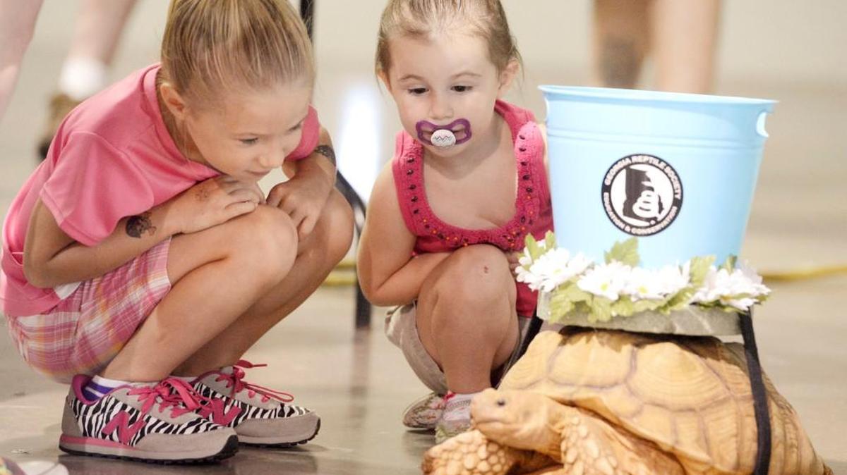 Shar, left, and Joni McCoy check out a sulcata tortoise Saturday during a Repticon event in Perry in this 2014 file photo.
