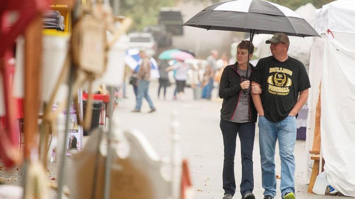 Rain didn’t deter people from browsing the booths at the 2015 Green Tomato Festival in Juliette.