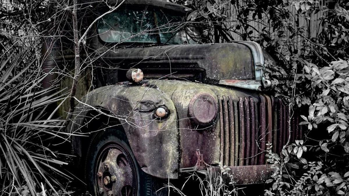 “Trapped by the Jungle” by Skip Fields is one of the entries in Middle Georgia Art Association’s annual photography exhibit.
