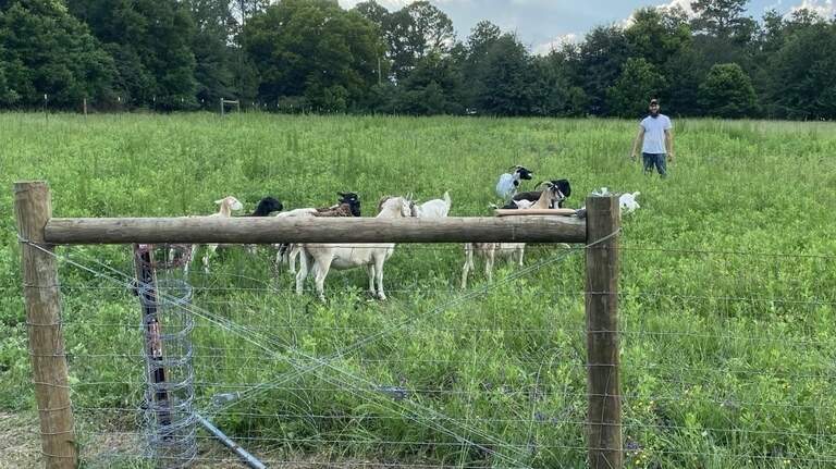 Moroccan immigrant, Macon math teacher runs local sustainable farm. Why he does it