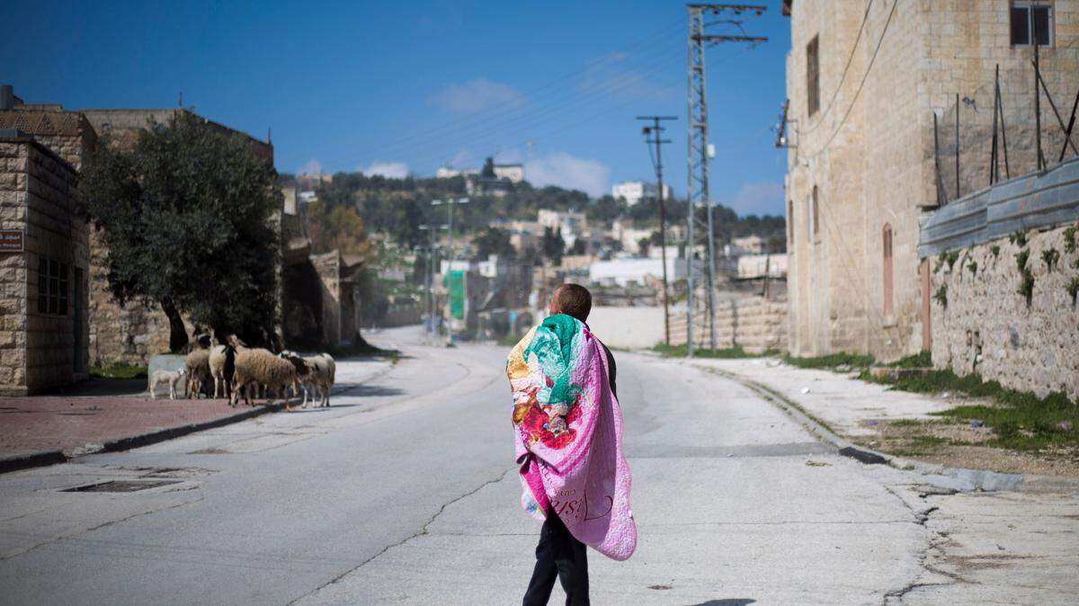 A Palestinian shepherd uses a blanket against the cold weather as he watches his sheep in the Israeli-controlled part of the West Bank city of Hebron.