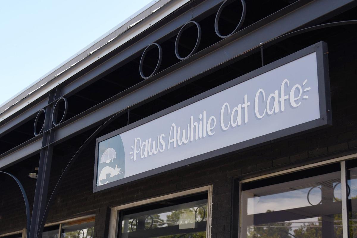 Paws Awhile Cat Cafe sits off of Macon Road on Thursday, July 11, 2024, in Perry, Georgia. The new cat cafe plans to open this summer and will partner with the Humane Society of Houston County and other rescue groups to have adoptable cats in the cafe.