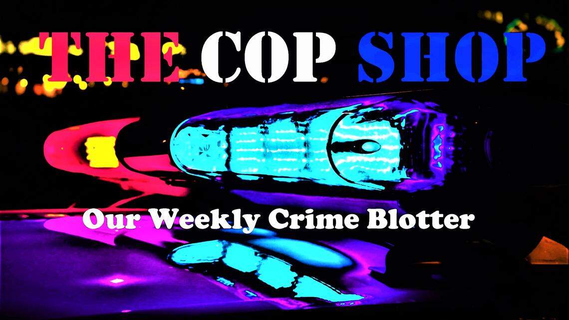 ‘I’m not removing (bleep),’ Georgia man with shirt hiding face tells cop at I-75 rest area