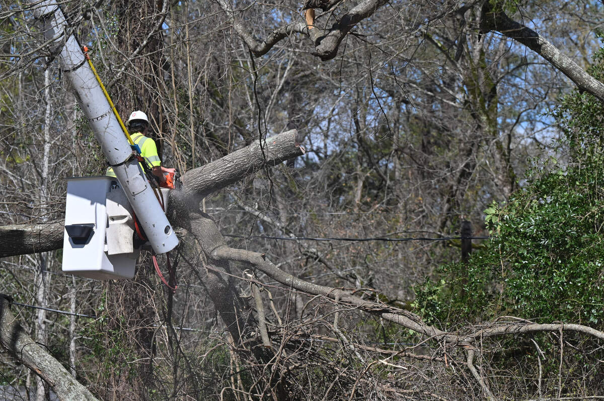 Crews from Asplundh Tree Expert cut damaged trees next to Living Waters Fellowship Church on Thursday, March 12, 2026, in Macon, Georgia. High winds from severe storms early Thursday morning resulted in downed trees and power outages in Macon and Middle Georgia.