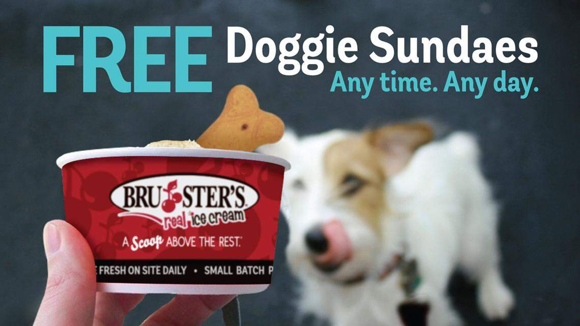 Bruster’s offers up doggie sundaes.