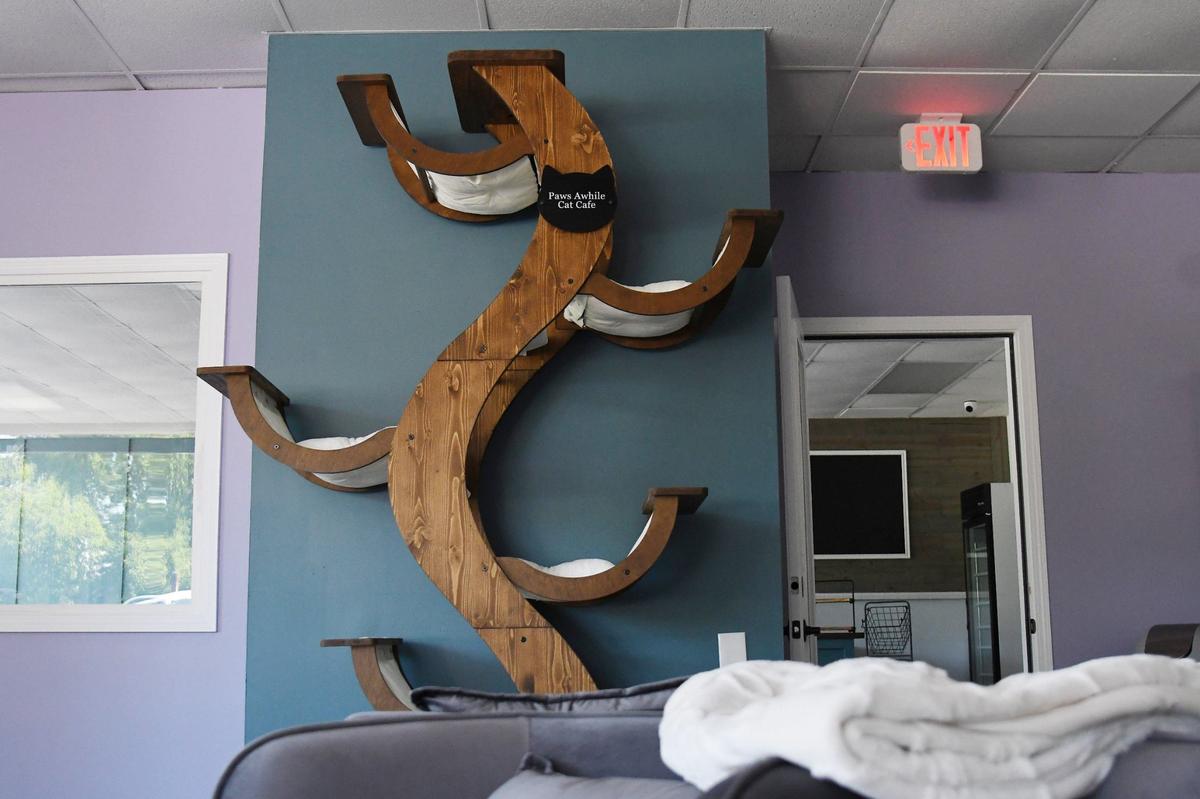 A giant cat tree sits in Paws Awhile Cat Cafe on Thursday, July 11, 2024, in Perry, Georgia. The new cat cafe plans to open this summer and will partner with the Humane Society of Houston County and other rescue groups to have adoptable cats in the cafe.