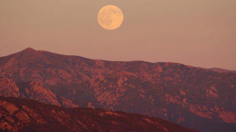 Catch a glimpse of the ‘Pink Moon’ this week. Here’s how and when