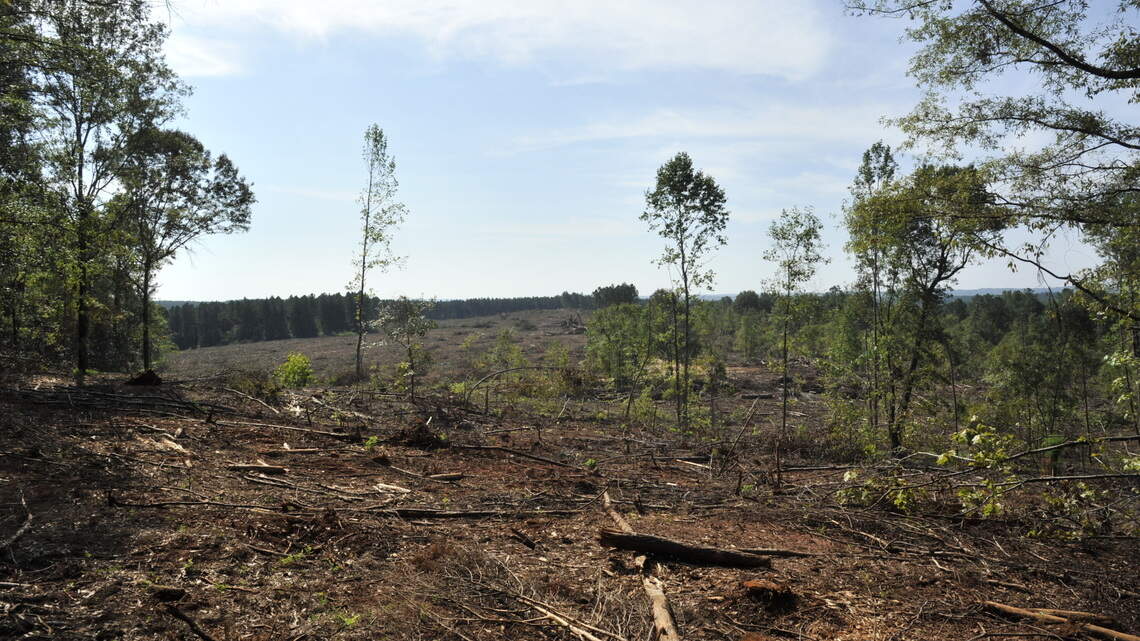 Houston County rejects solar panel farm offering a $300 million investment. Here’s why