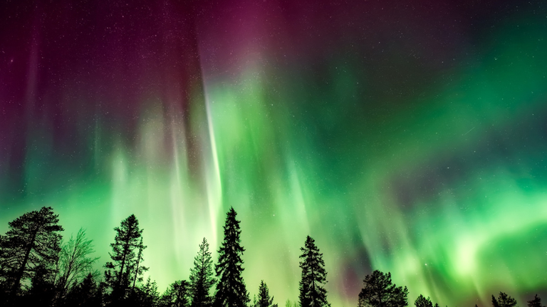 The South may see northern lights. Here’s when, why & if the aurora will be visible in GA