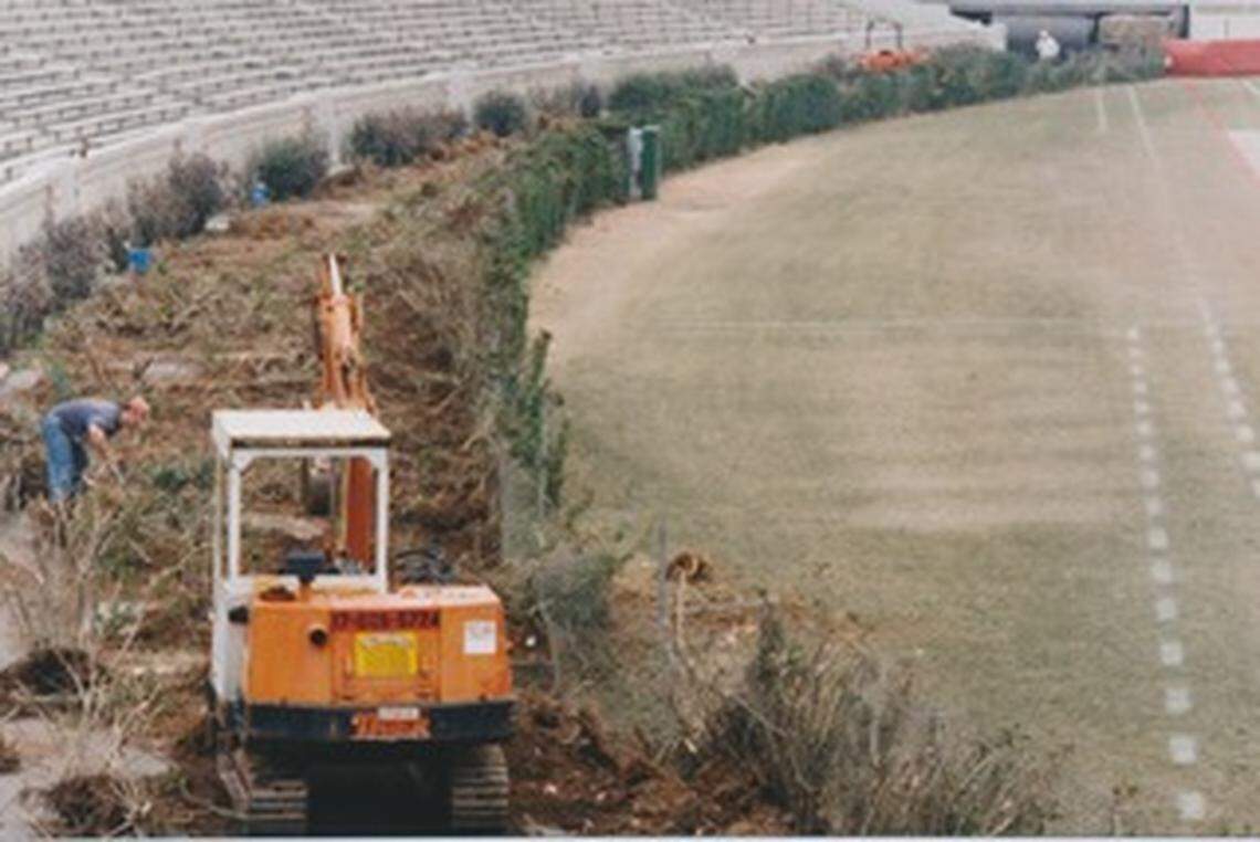 Georgia removed all of its hedges to accommodate a soccer field during the 1996 Olympics. Two nurseries grew new hedges from clippings of the original hedges. The current hedges are called "Hedges II."