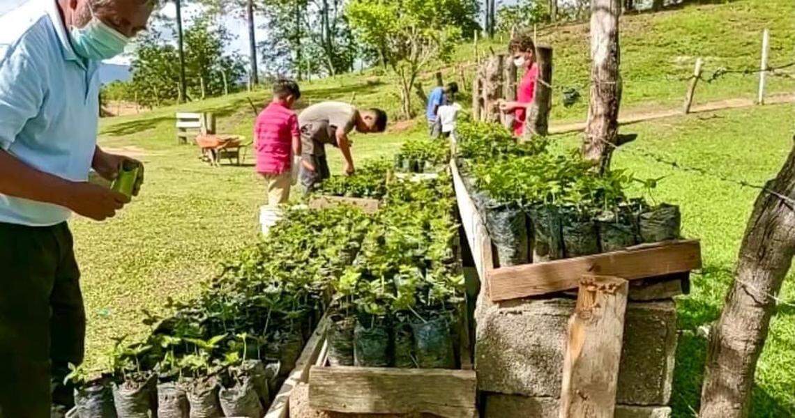 Honduran Pastor Donald Acosta, left, is teaching the youth at Emmanuel Orphanage, Guaimaca, Honduras, how to grow coffee plants in partnership with the orphanage and the Slade family who are opening Woodlands Coffee Roasters & Cafe in Warner Robins.
