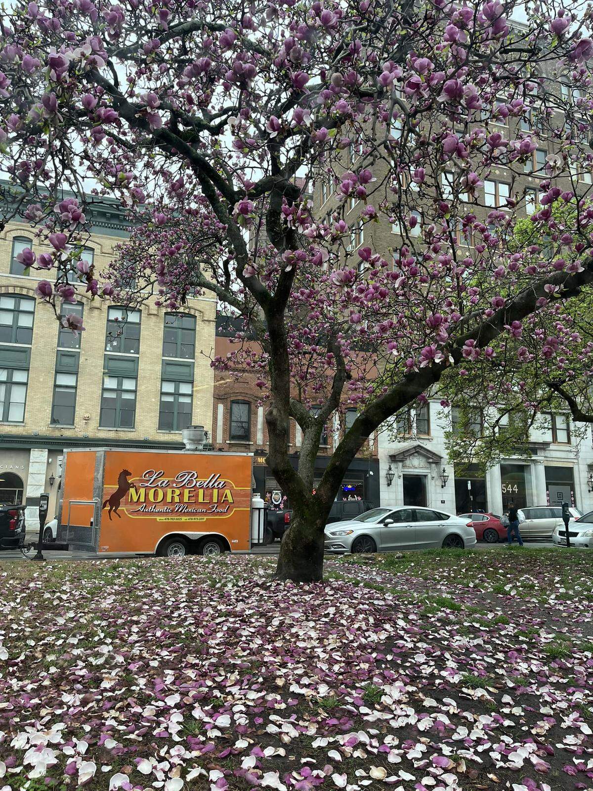 Macon’s very own La Bella Morelia will be at this year’s food truck fest