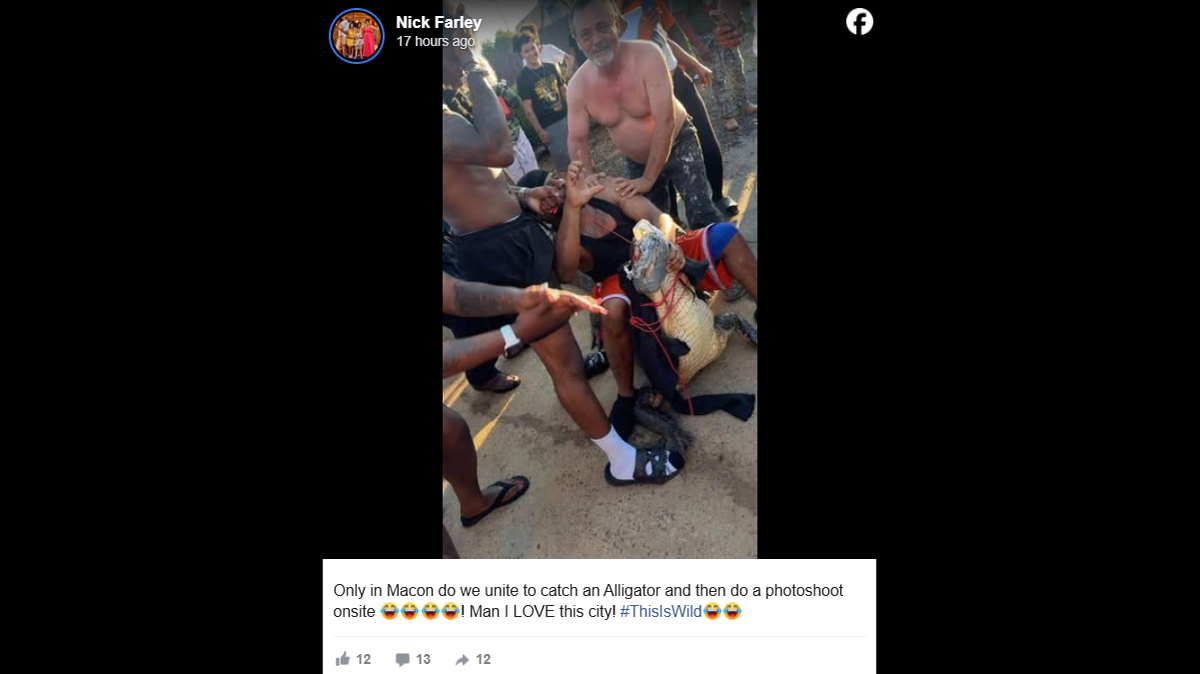 A group of men posed for a photo with an alligator that they caught on Sunday, Sept. 28, 2025, outside of McDonald’s at 1450 Rocky Creek Road in Macon, Ga. They taped its snout shut and wrapped it with string.