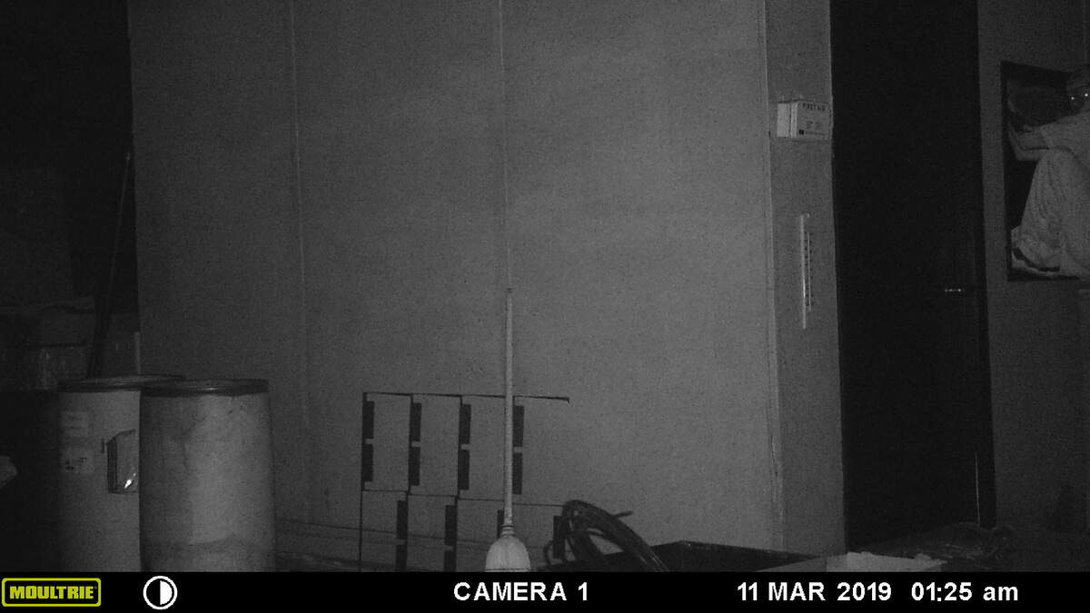 Man seen crawling into an office at Diversified Recycling near downtown Macon in the wee hours of March 11. Notice the door to the office is not even shut.