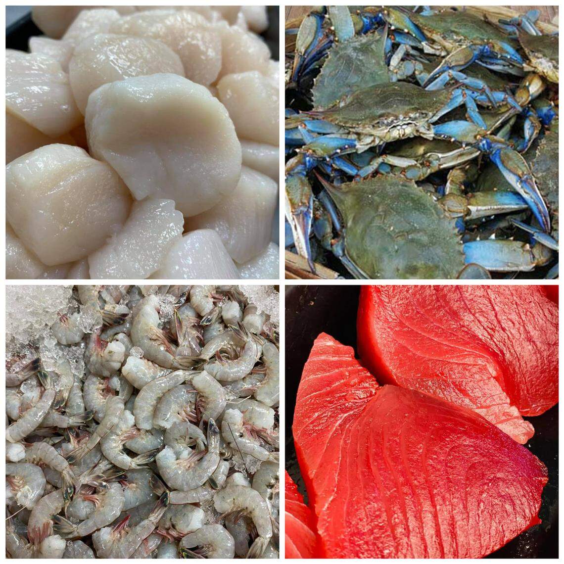 Family-owned and operated Saltwater Outpost, a fresh fish and meat market, is coming to the Galleria Square at 4027 Watson Blvd, Suite 110, in Warner Robins in June.