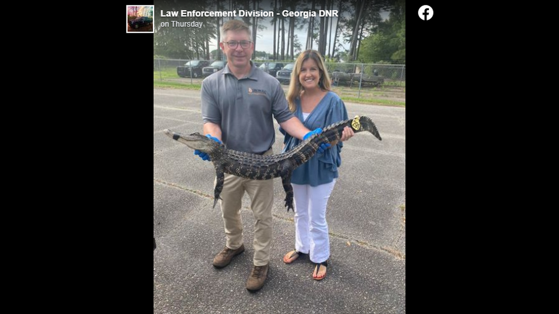 The gator was about 4.5 feet long, officials said.