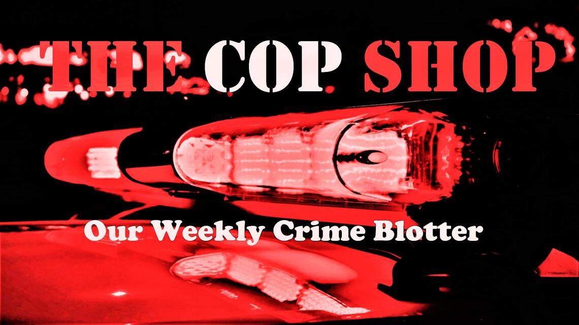 Woman tells Georgia cop about ‘strange things’ in her car — then gets arrested