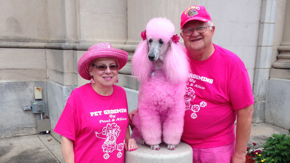 Alice and Paul Williams with their poodle, Blossom, during the 2018 Cherry Blossom Festival.