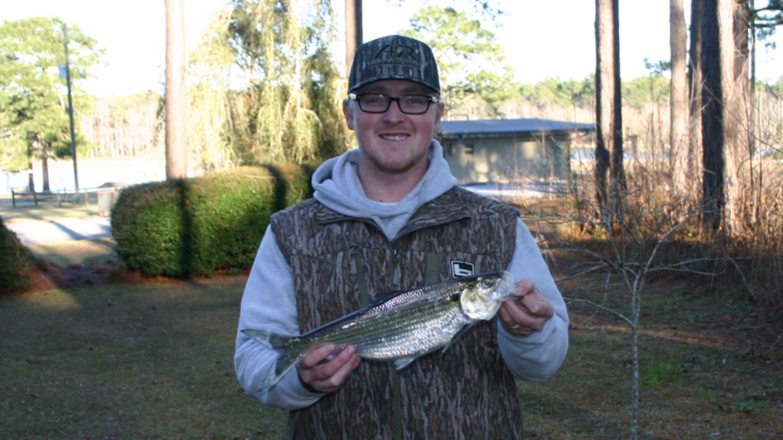 A Georgia man fishing for crappie accidentally broke a 25-year-old state record when he caught this hickory shad.