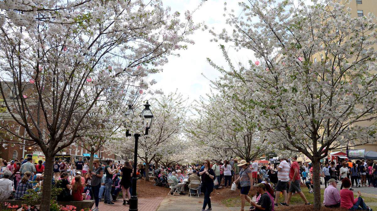 2021 Cherry Blossom Festival guide March 19-28