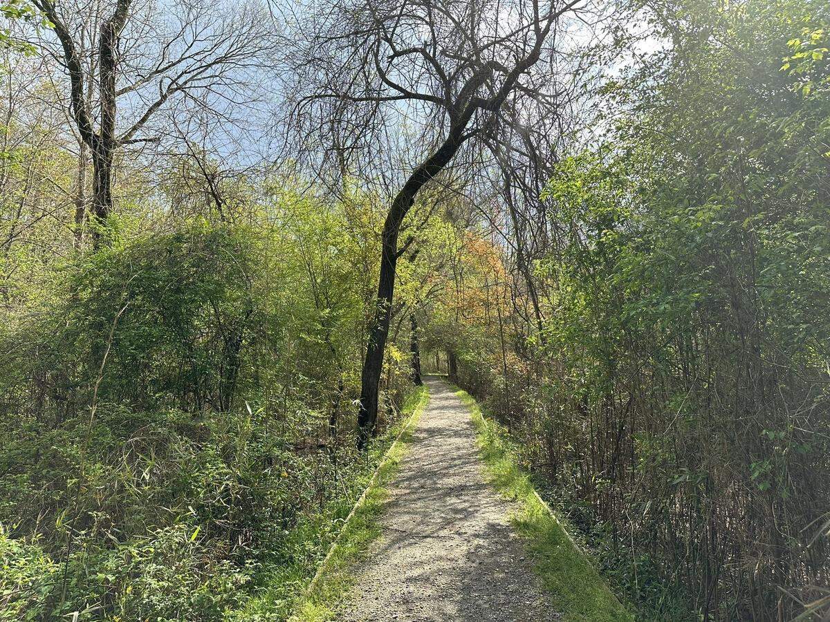 Bartram and River Loop trail in Macon, Georgia offers some beautiful scenery.