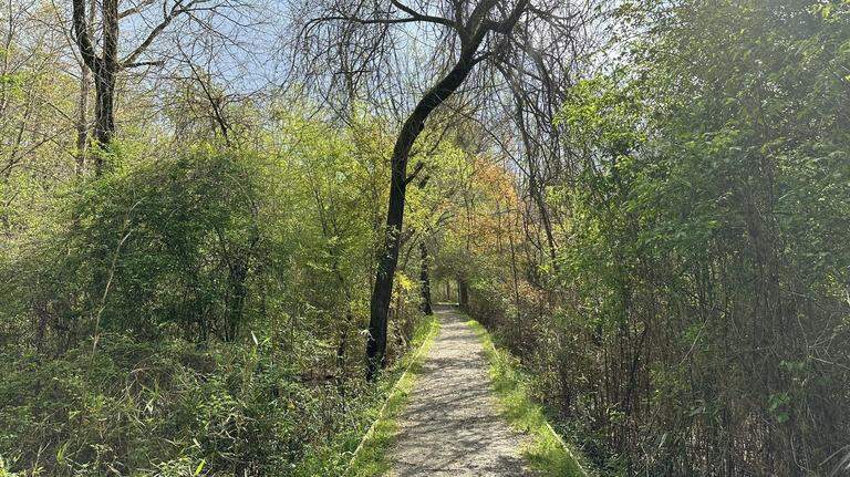Want to explore nature? Here are the top rated Georgia hiking trails in the Macon area