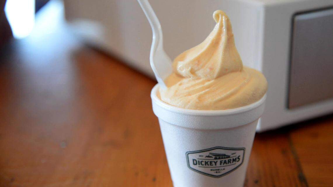 What restaurant has the best summertime dessert in Middle Georgia? Take our poll.