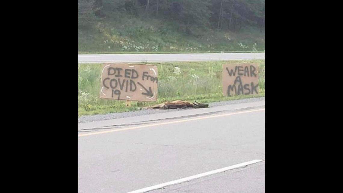 The Henry Country Police Department in Georgia posted a plea for people to “stop labeling dead animals on the freeway” after finding this scene.