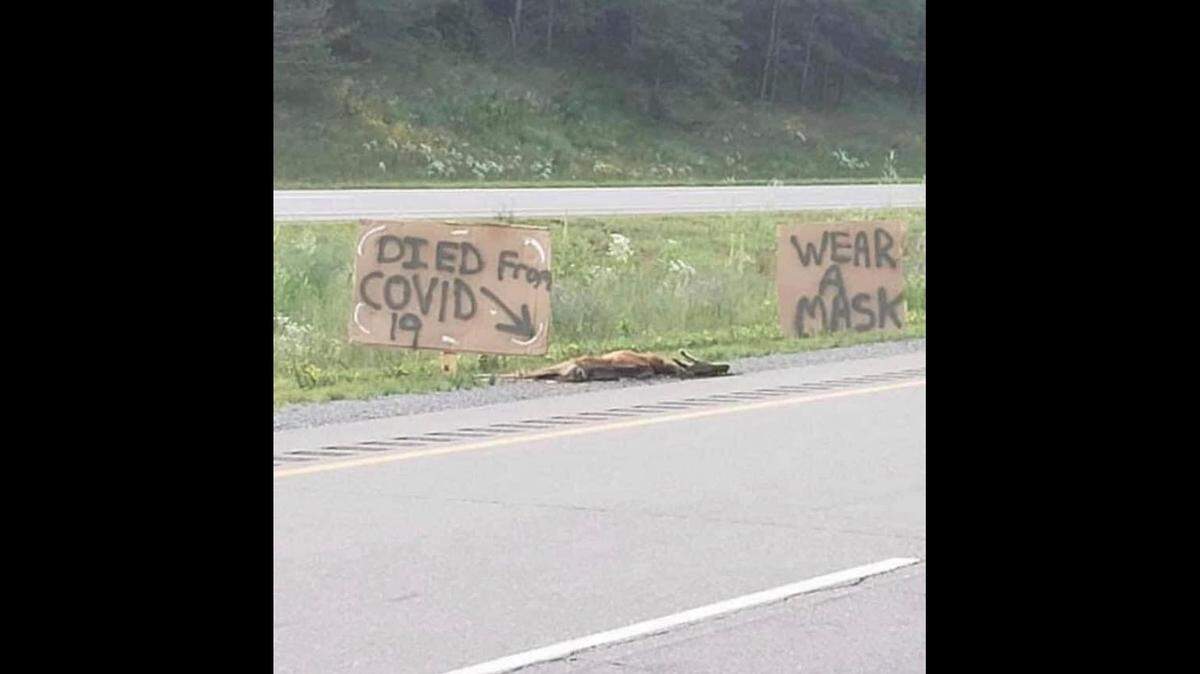 The Henry Country Police Department in Georgia posted a plea for people to “stop labeling dead animals on the freeway” after finding this scene.