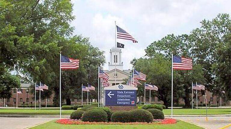 Issues persist at Dublin Vets hospital that exposed patients to infection, officials say