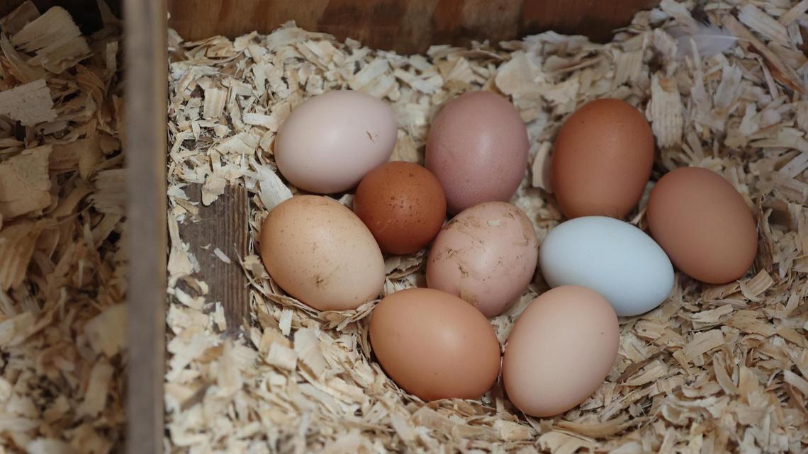 A popular fast food restaurant in North Carolina will charge more for eggs.