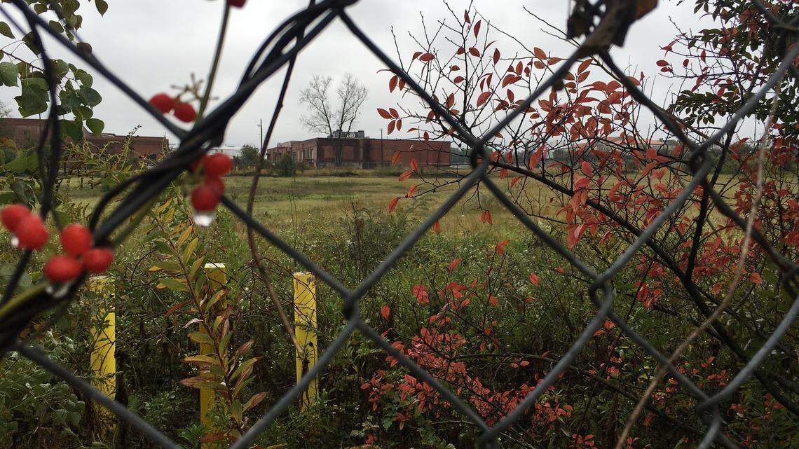 LIZ FABIAN/The Center for Collaborative Journalism The Macon Housing Authority plans to buy a 4-acre tract on lower Walnut St. for a $15 million affordable housing complex. The proposed buildings next to Daybreak would include a respite for the homeless recovering from surgery or illness.