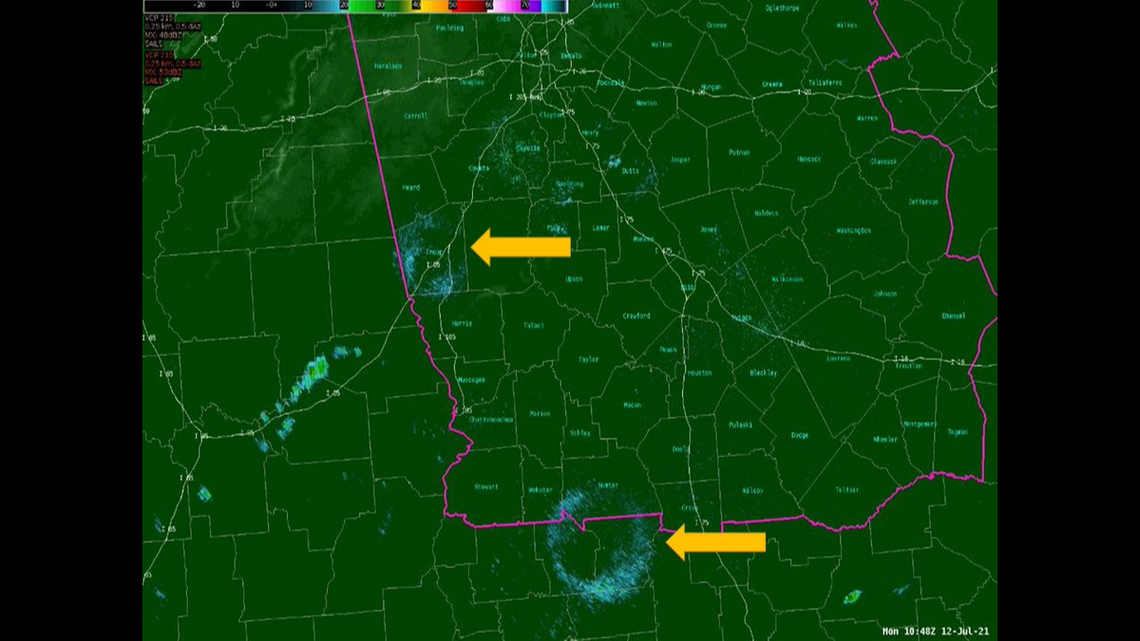 A photo from the National Weather Service shows two roost rings that showed up on a weather radar over Georgia on Monday morning.