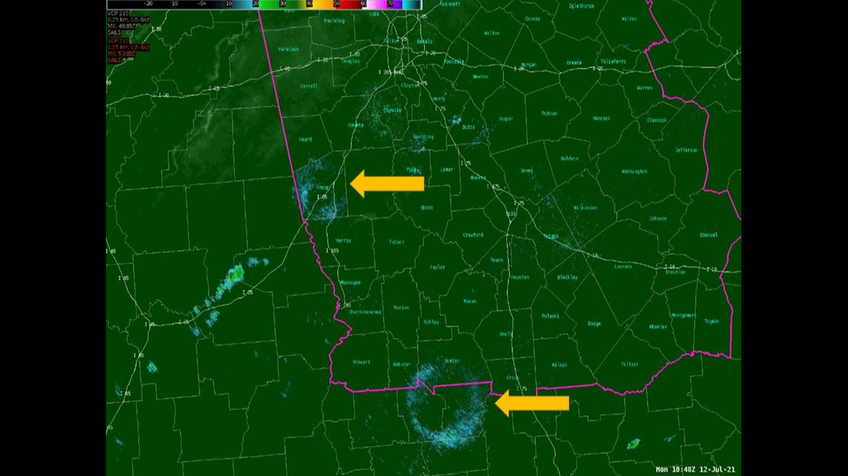 A photo from the National Weather Service shows two roost rings that showed up on a weather radar over Georgia on Monday morning.
