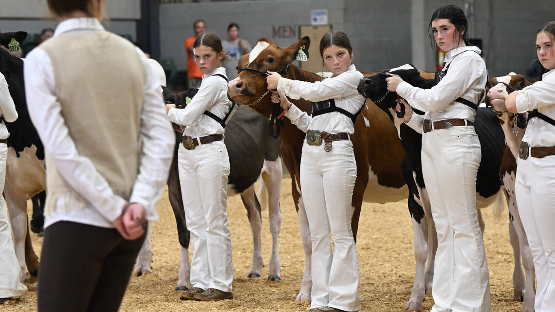 With no dairy farms in Bibb County, Macon high school’s cowhands carry tradition