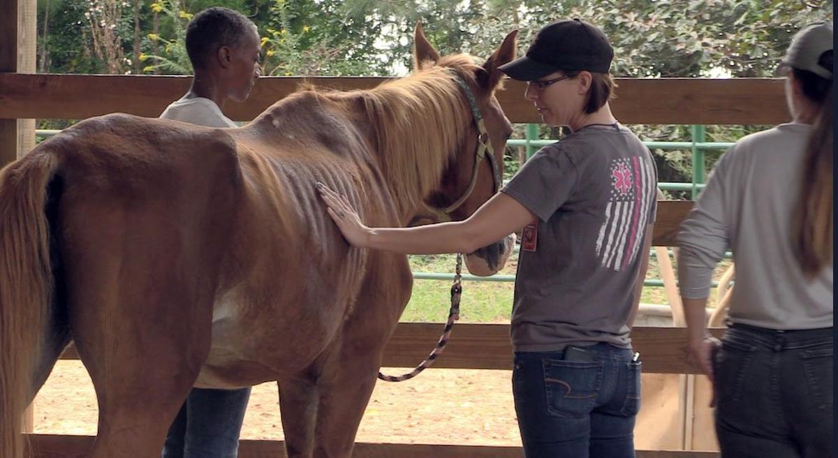 Equine therapists Gwendolyn Coley, left, and Paige Jobe, right, work with emergency medical technician Shannon Singletary Friday in the hopes of overcoming stress related to her work as a first responder.