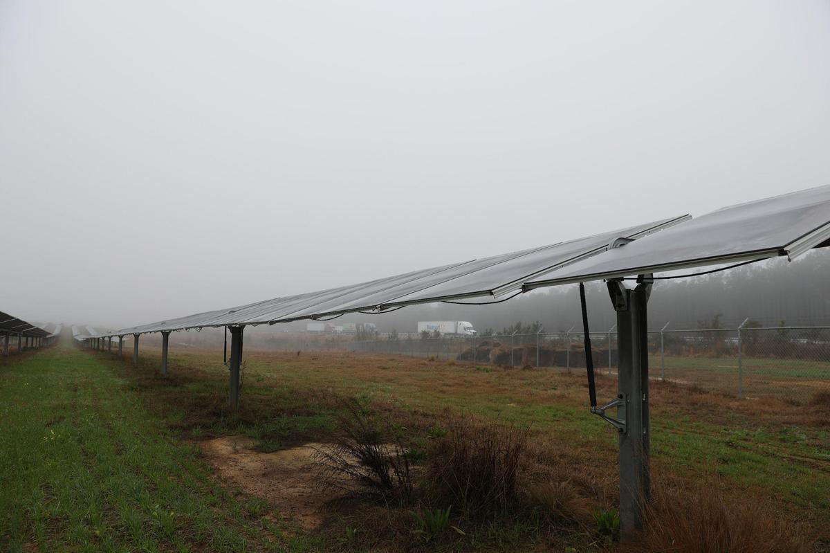 Rows of solar panels sit on land that makes up Houston Solar Project developed by Silicon Ranch on Wednesday, Feb. 12, 2025, in Elko, Georgia. The more than 700 acre solar farm sits perpendicular to I-75 and generates 68 megawatts of power, which is around 11,000 Georgia households.