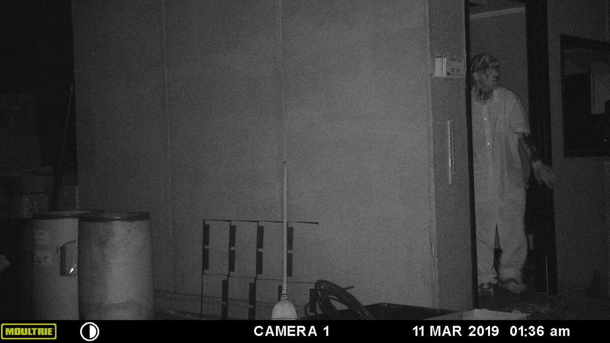A man seen walking out of an office at Diversified Recycling in the wee hours of March 11.