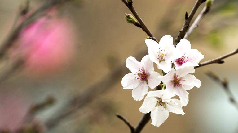 COLUMN: Support our neighbors