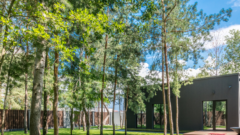 Who is liable when a neighbor’s tree falls on your property? Here’s what Georgia law says