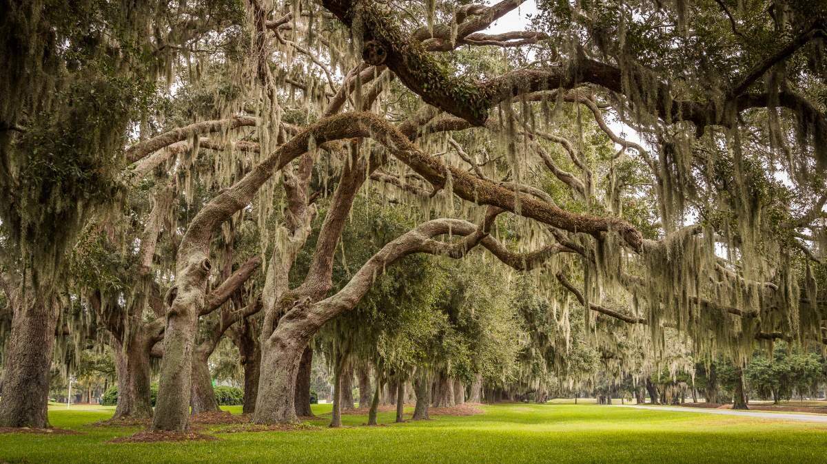 Golden Isles, Georgia.