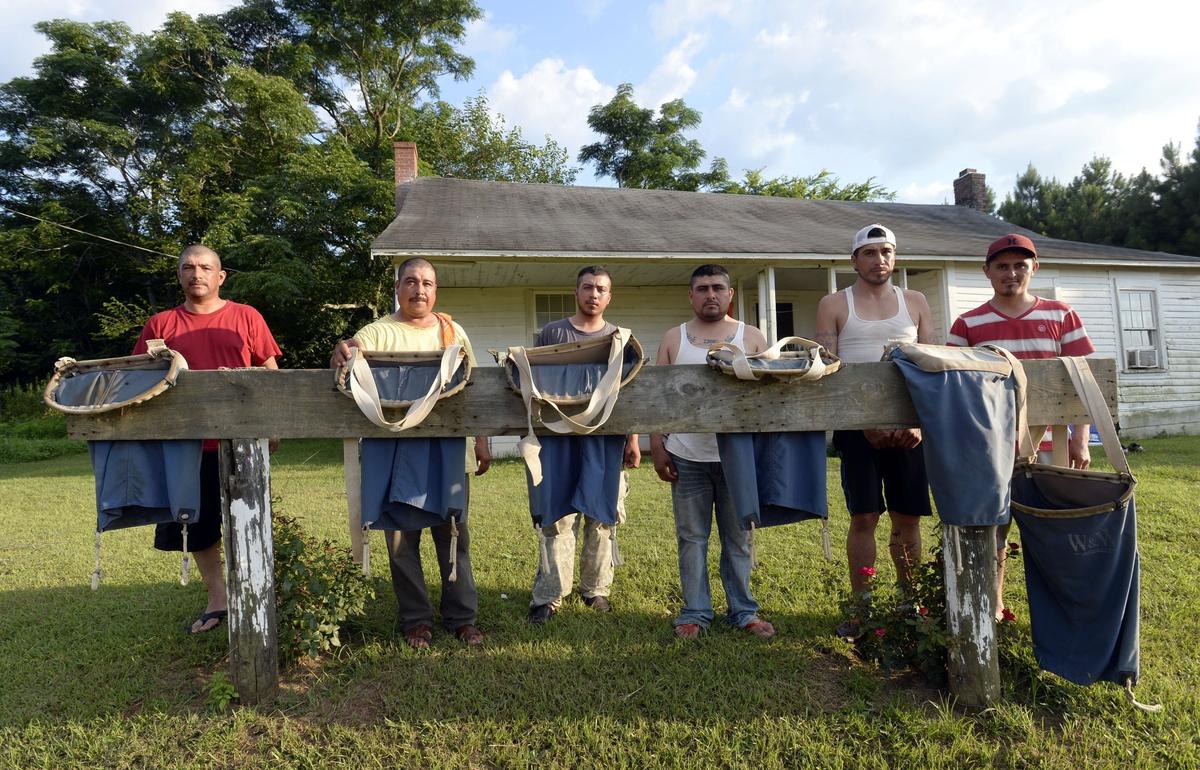 Armando Rubio Garcia, second from left, and fellow Mexicans from Jalisco, take a breather after a day of picking peaches, cleaning out the bags they use to carry the fruit, and a dinner break at their temporary home on a Peach County farm.  The men are part of a labor force of mostly foreign workers to bring in one of Middle Georgia’s most important crops.