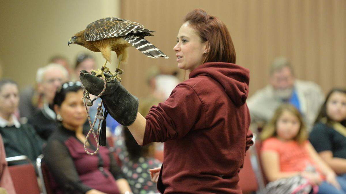 BEAU CABELL/THE TELEGRAPHJackie Entz shows off a red shouldered hawk while talking about birds of prey at the 2014 Great Outdoors Show.