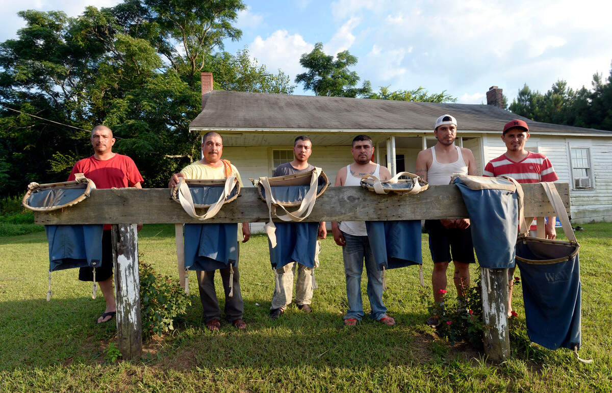 Armando Rubio Garcia, second from left, and fellow migrant workers from Jalisco, Mexico, take a breather after a day of picking peaches, cleaning out the bags they use to carry the fruit and a dinner break at their temporary home on a Peach County farm. The men are part of a labor force of mostly foreign workers to bring in one of middle Georgia’s most important crops.