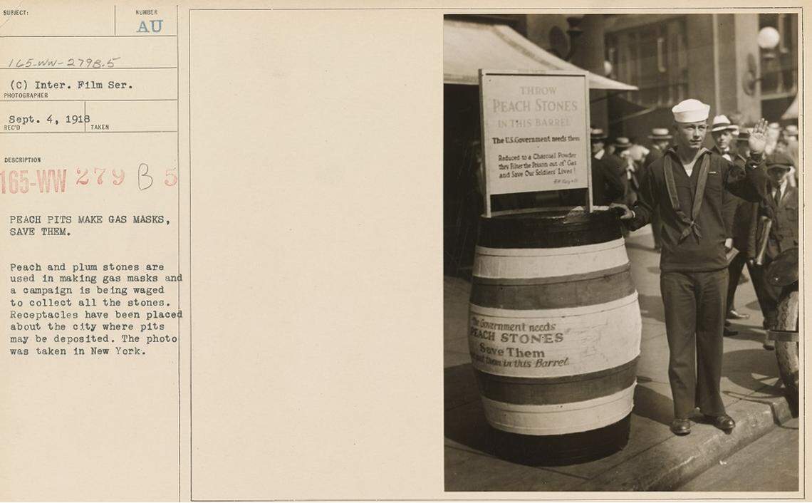 Peach and plum stones are used in making gas masks and a campaign is being waged to collect all the stones. Receptacles have been placed about the city where pits may be deposited. This photo was taken in New York on Sept. 4, 1918.